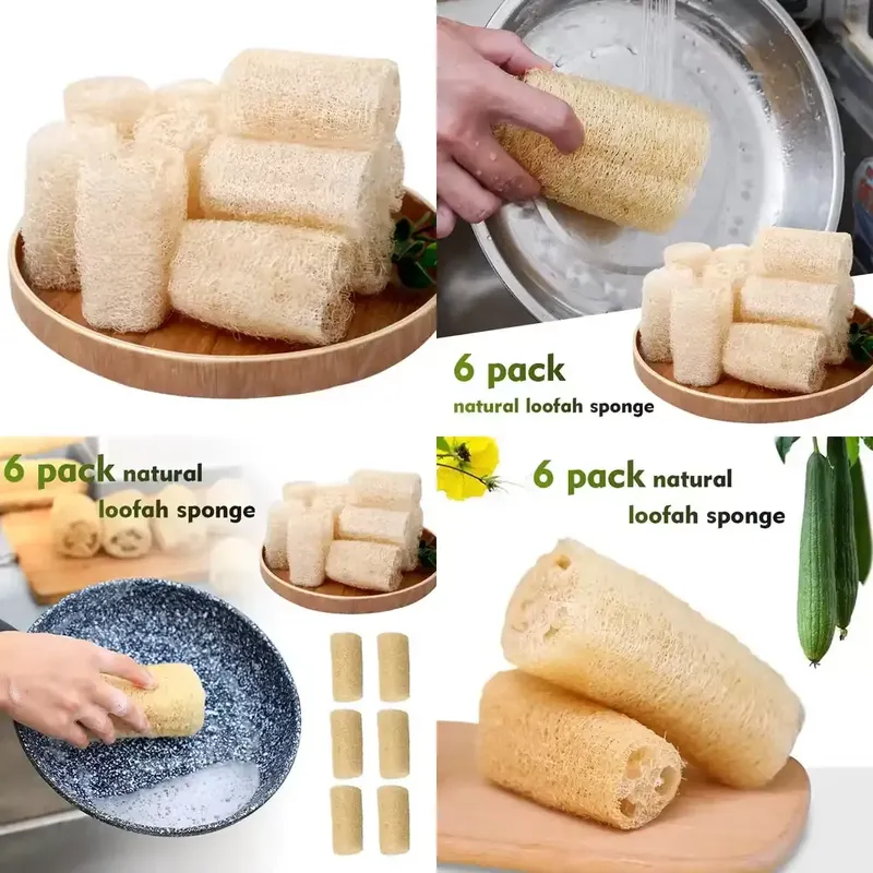 Eco Sponge - Escova de Luffa Natural 2026 Mais