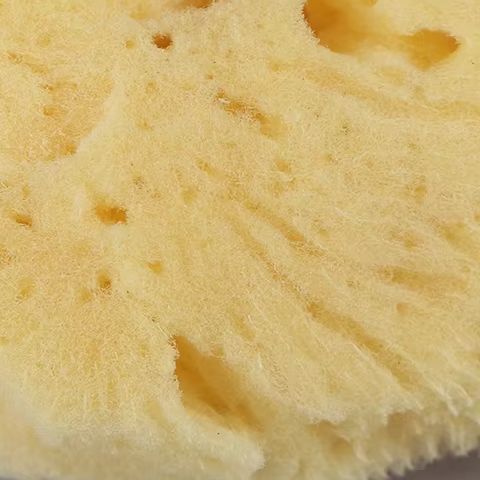 Ferramenta de limpeza de produ - Eco Sponge avaliação e preço