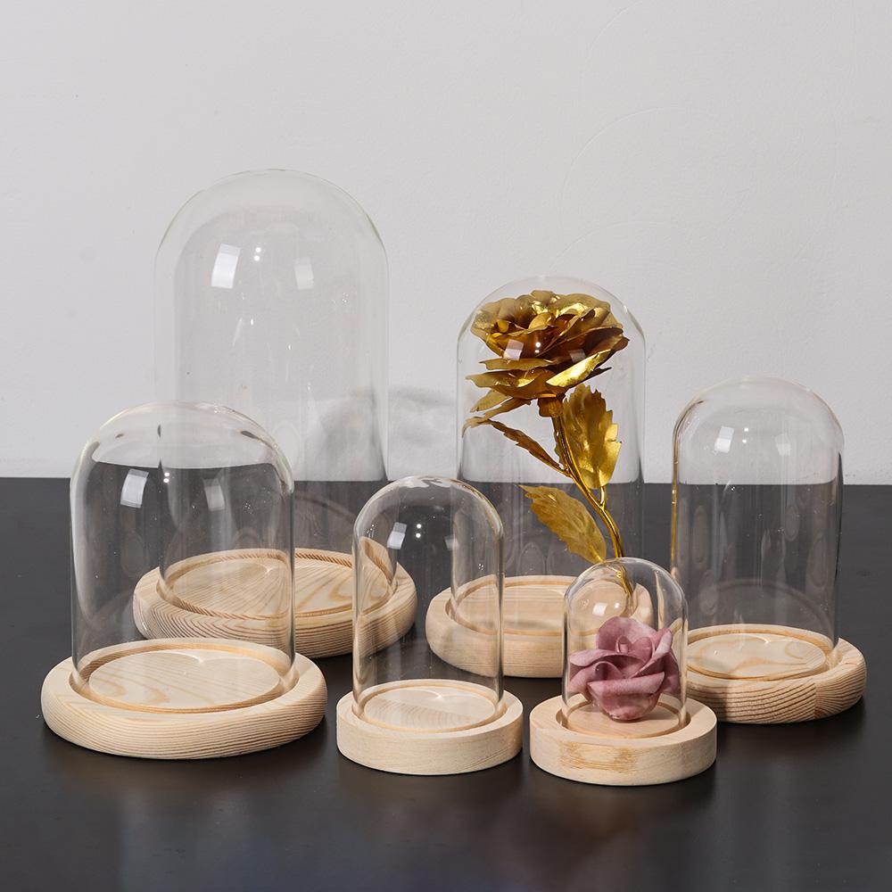Luzes de fada, plantas, frasco - Reusable Bottle avaliação e preço