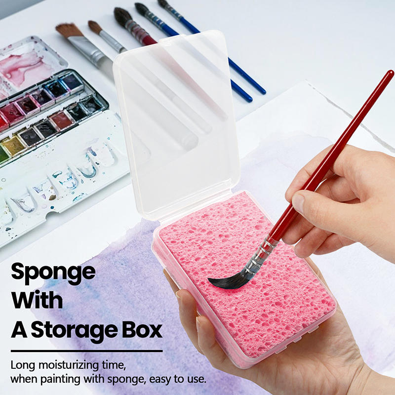 Esponja de Limpeza para Pintur - Eco Sponge avaliação e preço