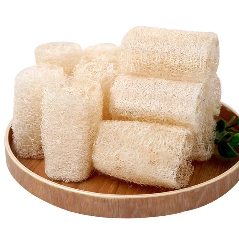 Escova de Luffa Natural 2026 M - Eco Sponge avaliação e preço