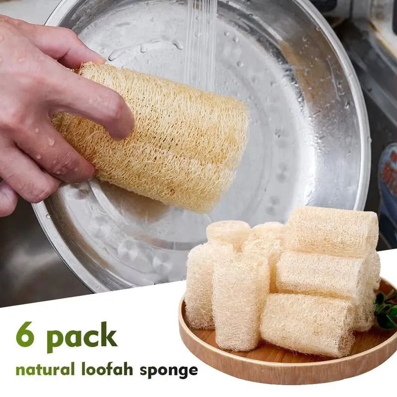 Escova de Luffa Natural 2026 M - Eco Sponge avaliação e preço