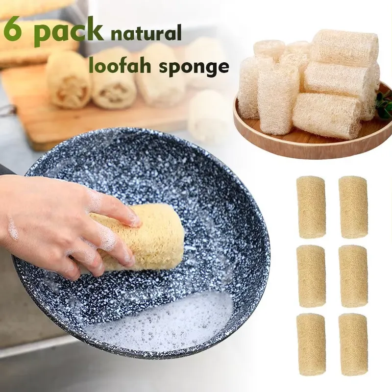 Escova de Luffa Natural 2026 M - Eco Sponge avaliação e preço