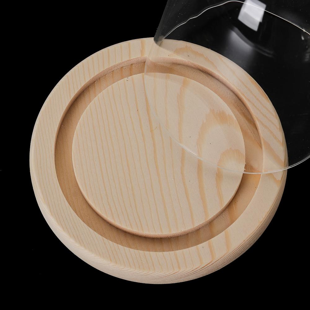 Luzes de Fada para Decoração d - Reusable Bottle avaliação e preço
